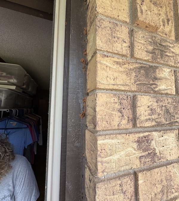 Norman Oklahoma Pest Control Service