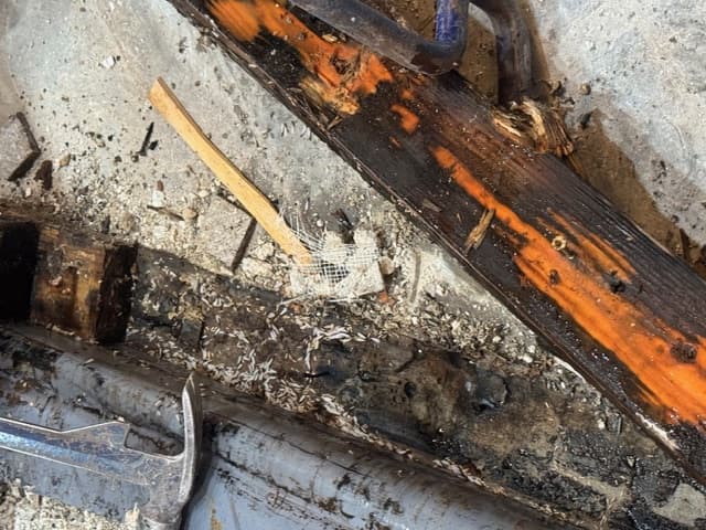 Pest Control In Norman OK