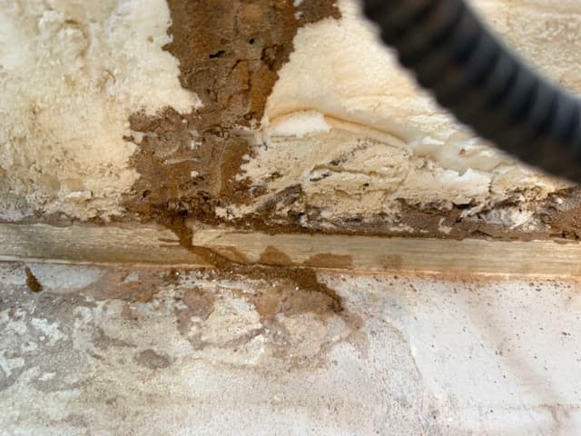 Pest Control Service Ardmore Ok 03 24 2026 002