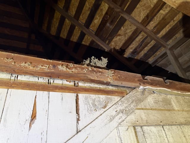 Pest Control Service Ardmore Ok 03 24 2026 009