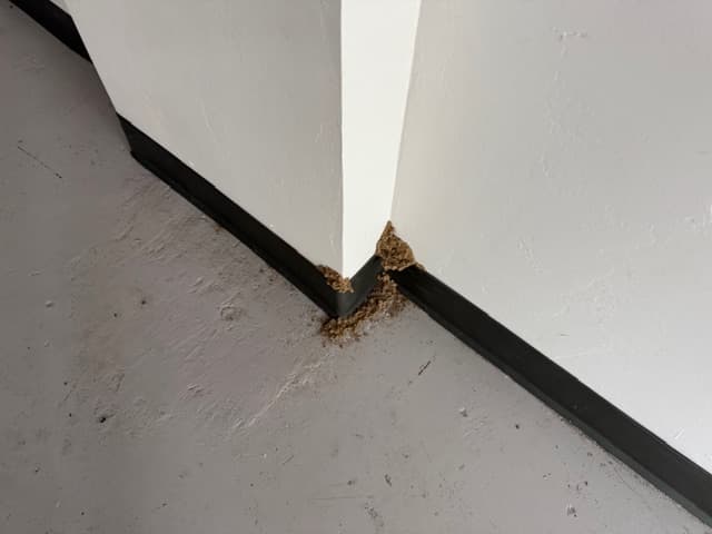 Pest Control Service Ardmore Ok 03 24 2026 021