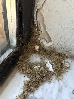 Ardmore Ok Pest Control Service 283