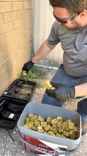 Ardmore Ok Pest Control Service 289