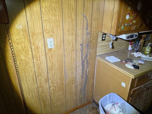 Pest Control Service Ardmore Ok 03 24 2026 005