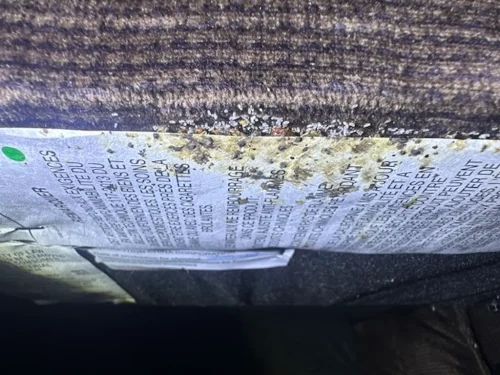 Ardmore-OK-Pest-Control-Service-10-21-26-2