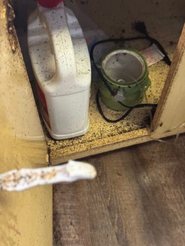 Ardmore-OK-Pest-Control-Service-182