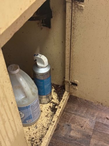 Ardmore-OK-Pest-Control-Service-184