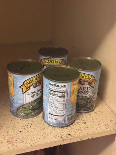 Ardmore-OK-Pest-Control-Service-186