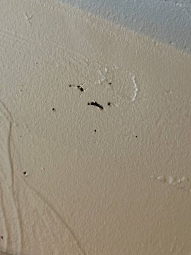 Ardmore-OK-Pest-Control-Service-190