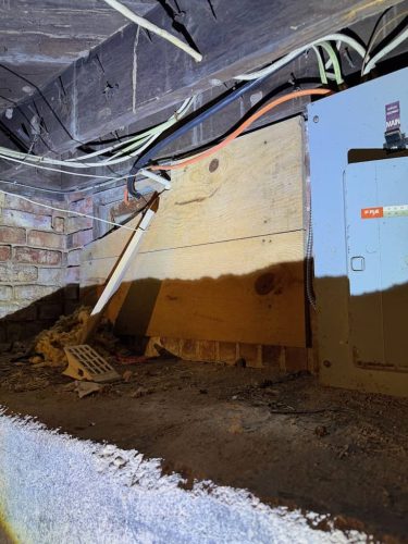 Ardmore-OK-Pest-Control-Service-195