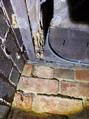 Ardmore-OK-Pest-Control-Service-196