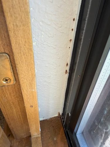 Ardmore-OK-Pest-Control-Service-197