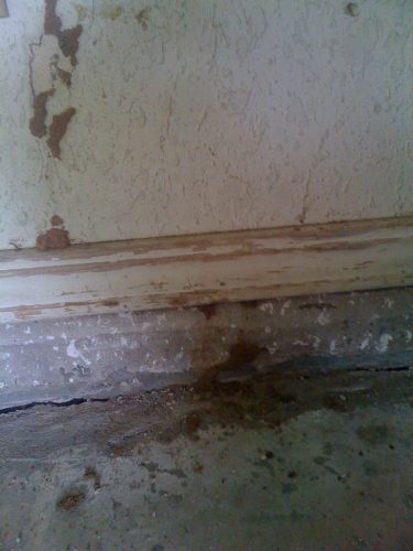 Ardmore-OK-Pest-Control-Service-2-19-26-001