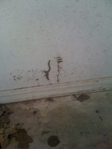 Ardmore-OK-Pest-Control-Service-2-19-26-002