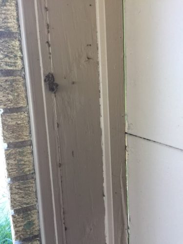 Ardmore-OK-Pest-Control-Service-2-19-26-008