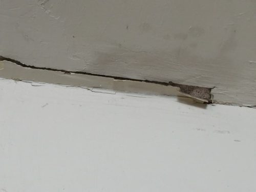 Ardmore-OK-Pest-Control-Service-2-19-26-009