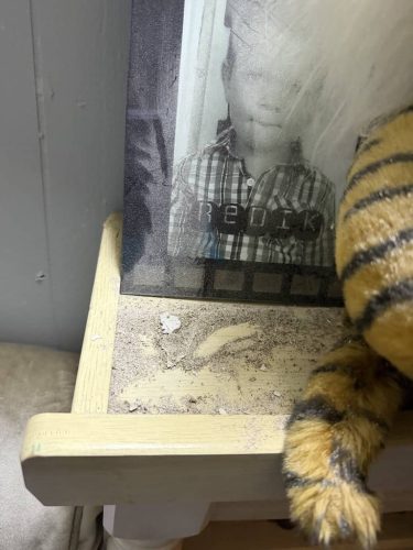 Ardmore-OK-Pest-Control-Service-203