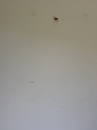 Ardmore-OK-Pest-Control-Service-222