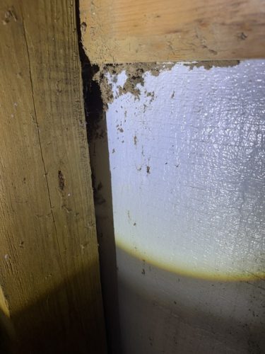 Ardmore-OK-Pest-Control-Service-223