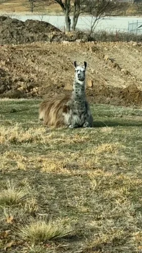 Ardmore-OK-Pest-Control-Service-3-17-26-0011