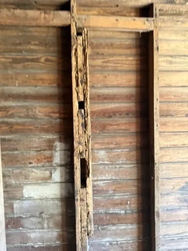 Ardmore-OK-Pest-Control-Service-3-17-26-0012-2