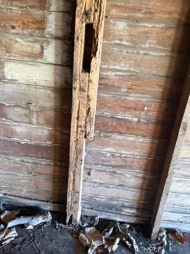 Ardmore-OK-Pest-Control-Service-3-17-26-0013-2