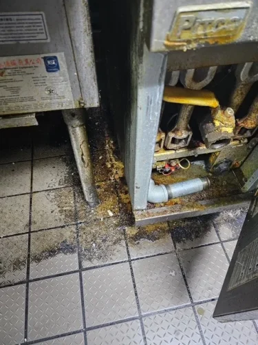 Ardmore-OK-Pest-Control-Service-3-17-26-004