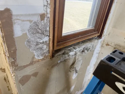Ardmore-OK-Pest-Control-Service-3-24-26-0019