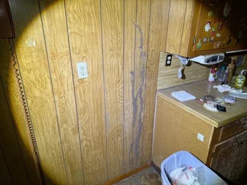 Ardmore-OK-Pest-Control-Service-3-24-26-005