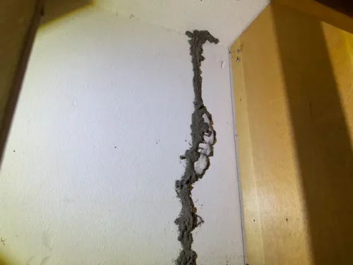 Ardmore-OK-Pest-Control-Service-3-24-26-006