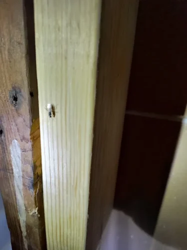 Ardmore-OK-Pest-Control-Service-4.21.26-6