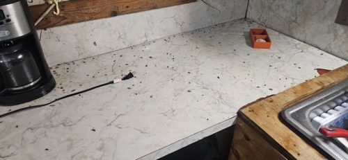 Ardmore-OK-Pest-Control-Service-47