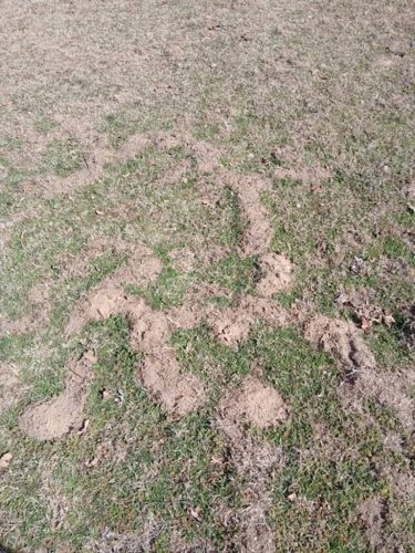 Ardmore-OK-Pest-Control-Service-51