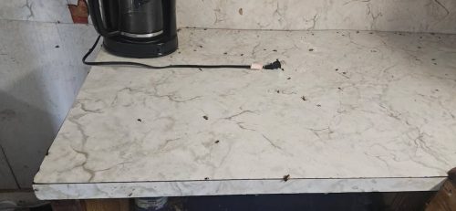 Ardmore-OK-Pest-Control-Service-53