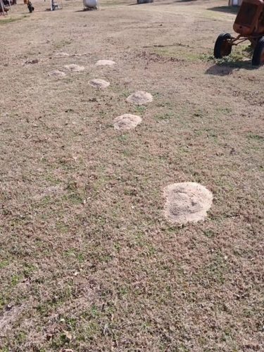 Ardmore-OK-Pest-Control-Service-56