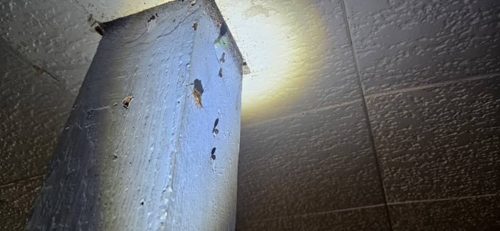 Ardmore-OK-Pest-Control-Service-58