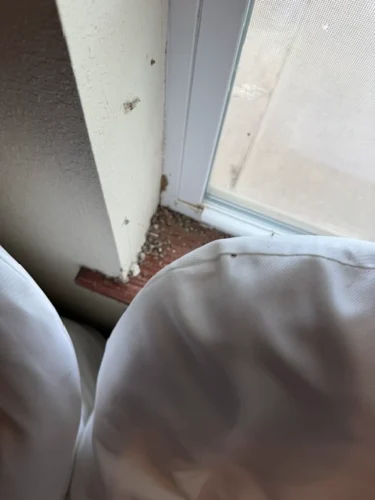 Ardmore-OK-Pest-Control-Service-6.16.26-1