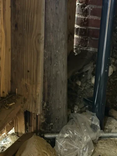 Ardmore-OK-Pest-Control-Service-6.16.26-3