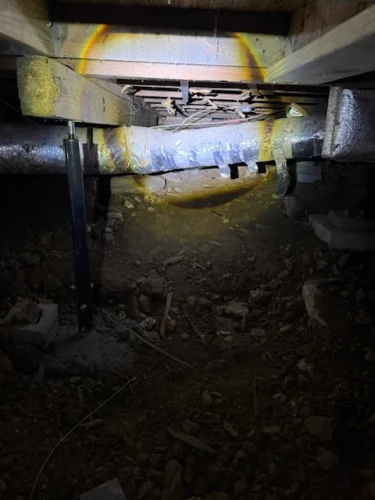 Ardmore-OK-Pest-Control-Service-6.16.26-6