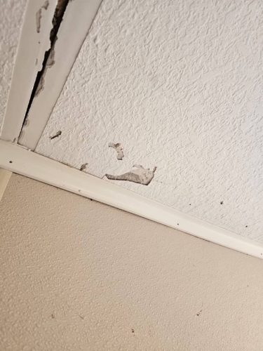 Ardmore-OK-Pest-Control-Service-60