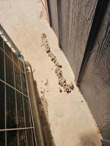 Ardmore-OK-Pest-Control-Service-62