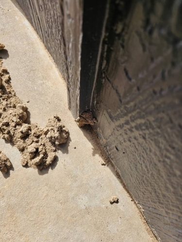 Ardmore-OK-Pest-Control-Service-66