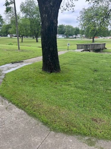 Ardmore-OK-Pest-Control-Service-68