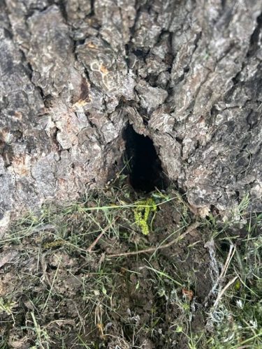 Ardmore-OK-Pest-Control-Service-69