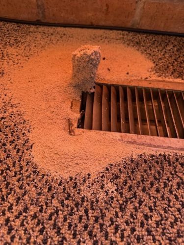 Ardmore-OK-Pest-Control-Service-74